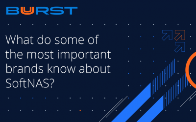 What do some of the most important brands know about SoftNAS?