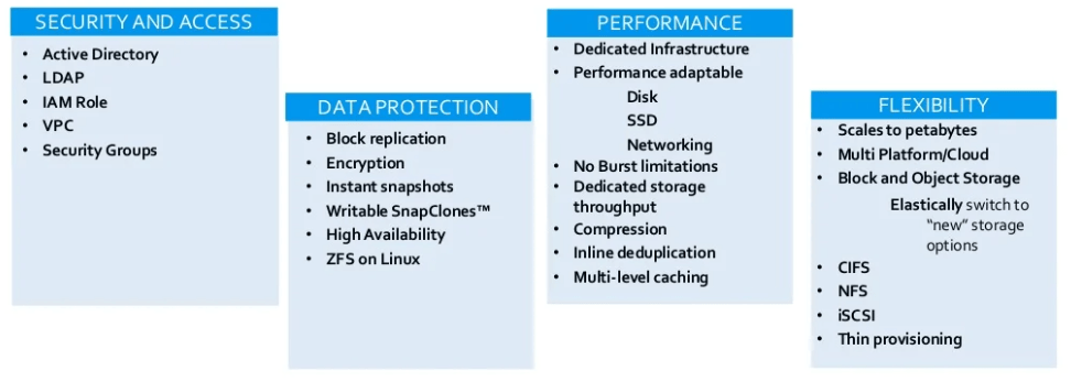 Cloud NAS